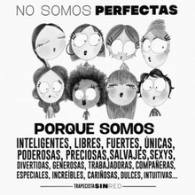 Cargar imagen en el visor de la galería, CAMISETA PERFECTAS