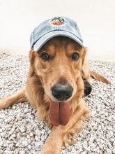 Cargar a imaxe no visor de galería, VISORA ESQUADRA 44